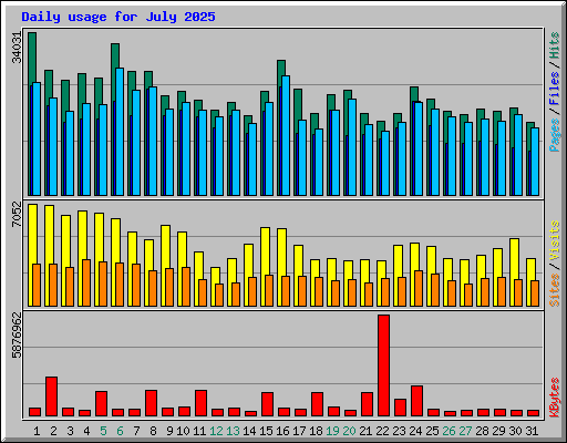 Daily usage for July 2025