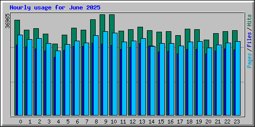Hourly usage for June 2025