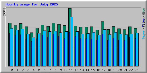 Hourly usage for July 2025