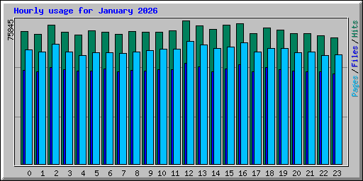 Hourly usage for January 2026